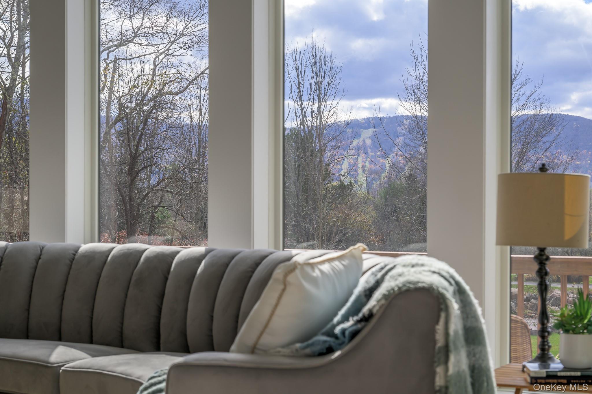 20 Brook Hollow Lane, Windham, NY 12496