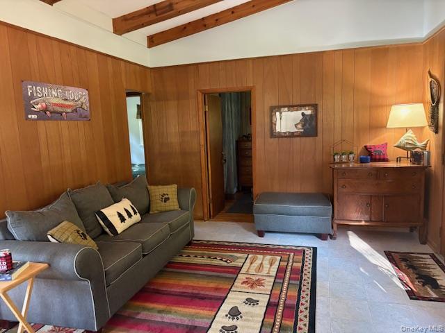 205 Long Flats Road, East Branch, NY 13756