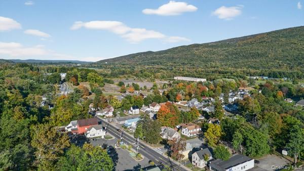 4 Backman Avenue, Ellenville, NY 12428