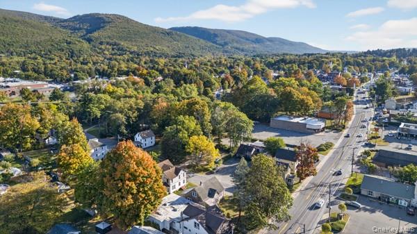 4 Backman Avenue, Ellenville, NY 12428