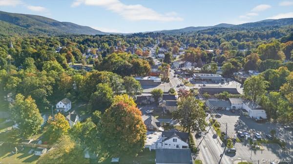 4 Backman Avenue, Ellenville, NY 12428