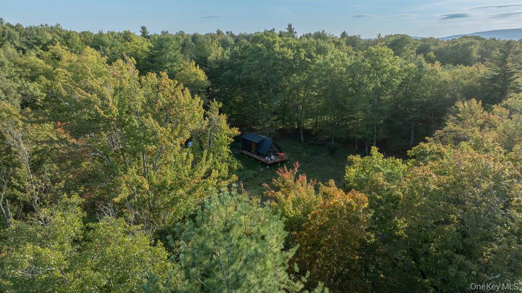 26 Kelder Road, Olivebridge, NY 12461