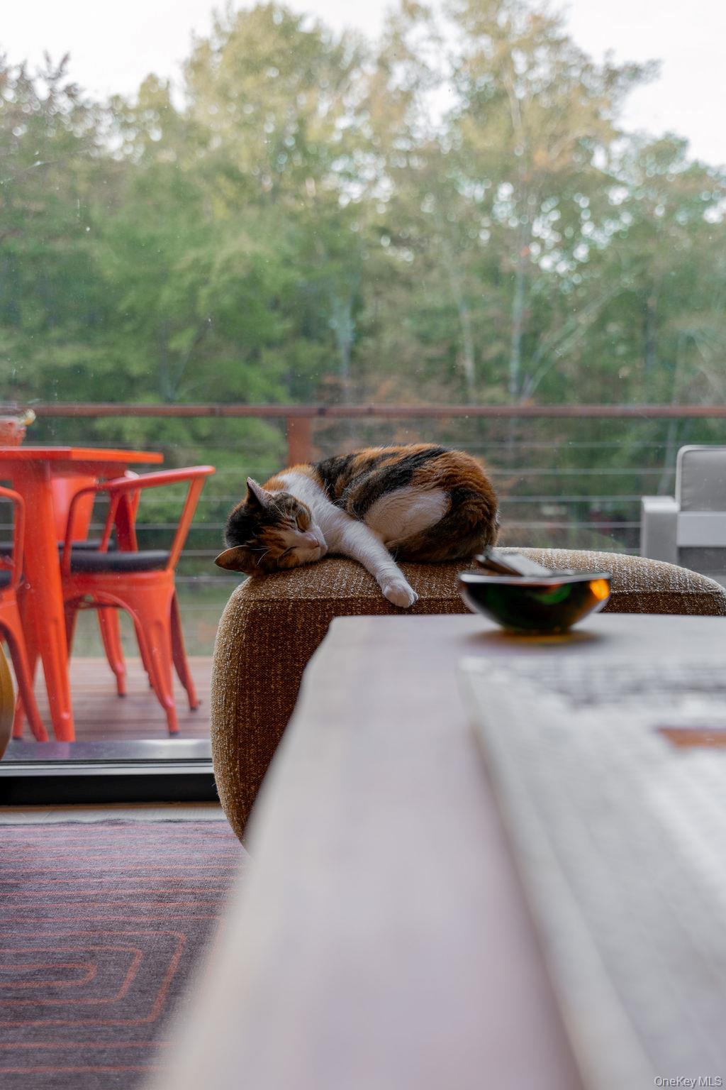 26 Kelder Road, Olivebridge, NY 12461