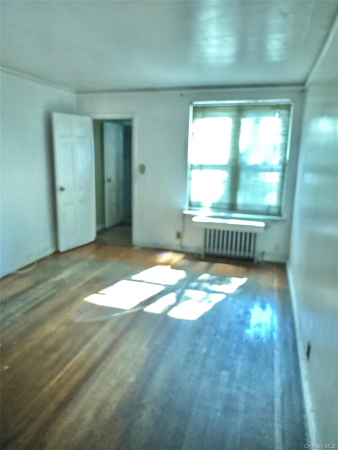 1955 Haviland Avenue, Bronx, NY 10472