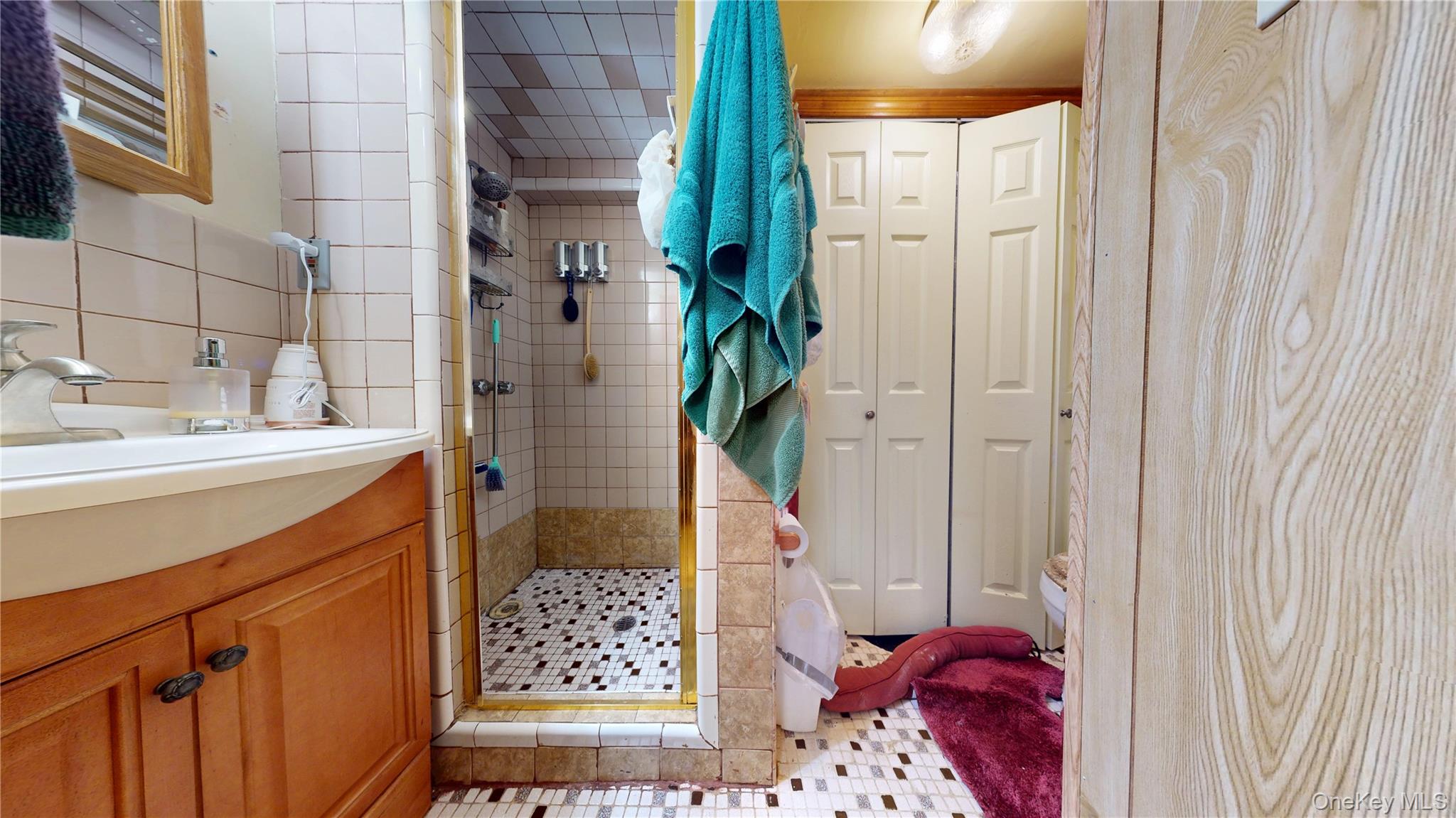 219 Berriman Street, Brooklyn, NY 11208