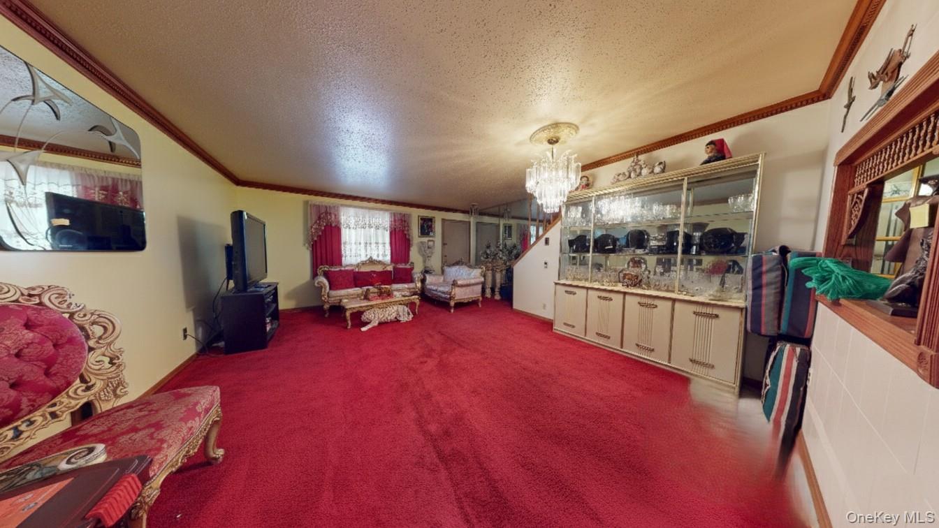 219 Berriman Street, Brooklyn, NY 11208