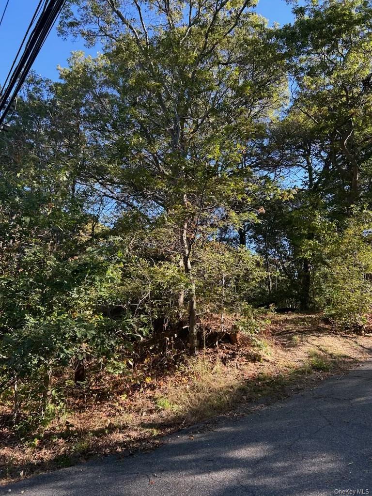 0 Old Medford Avenue, Medford, NY 11763