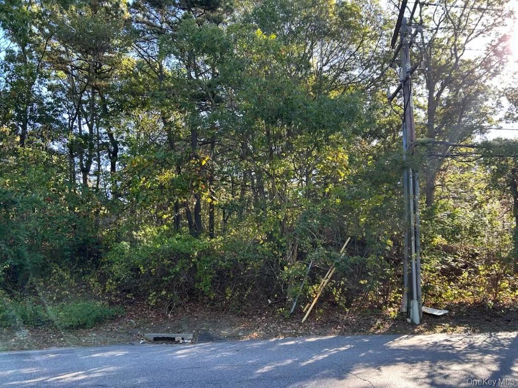 0 Old Medford Avenue, Medford, NY 11763