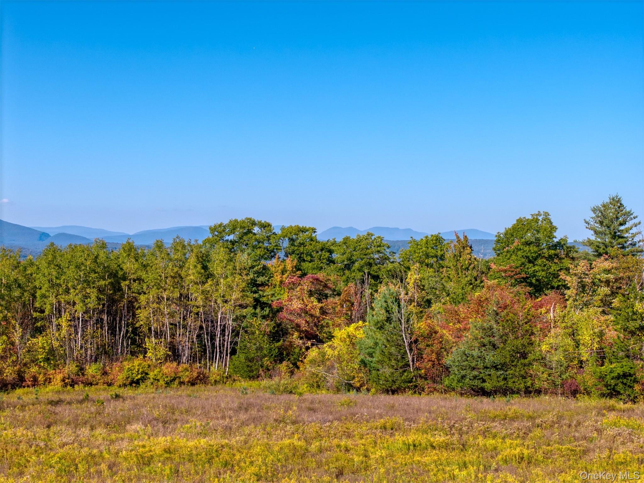 5881-5883 Route 44 55, Kerhonkson, NY 12446