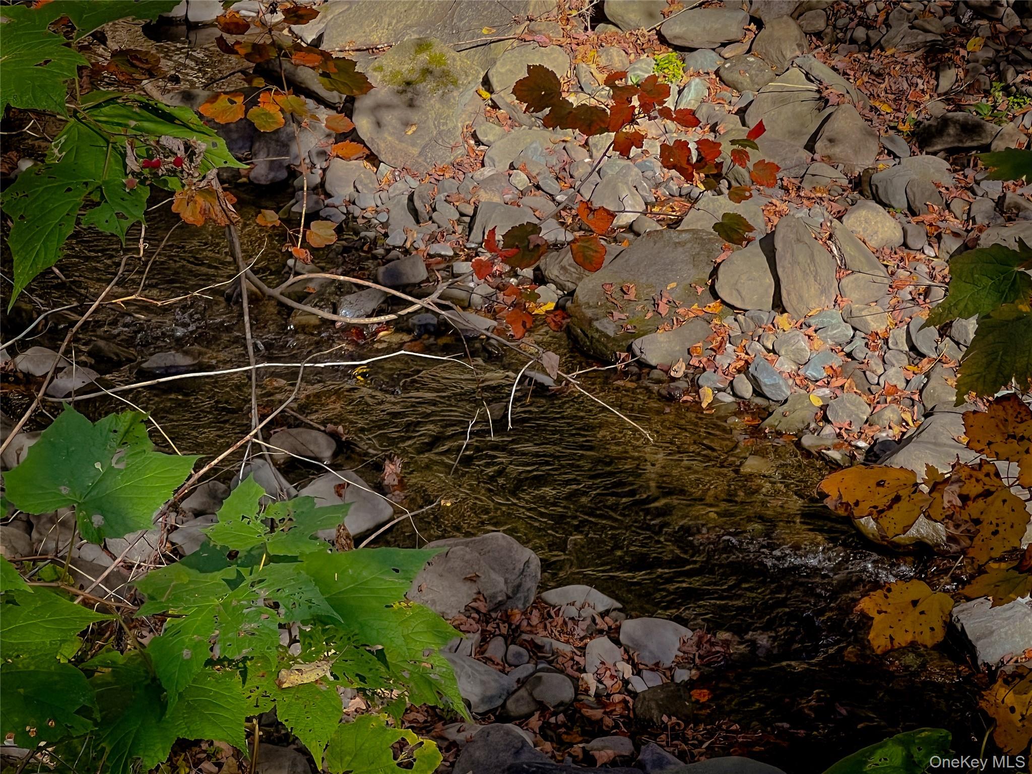 259 Tennanah Lake Road, Roscoe, NY 12776