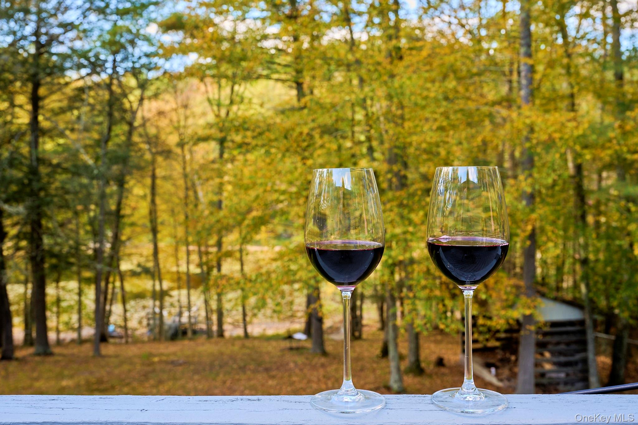 39 Pitio Road, Glen Spey, NY 12737