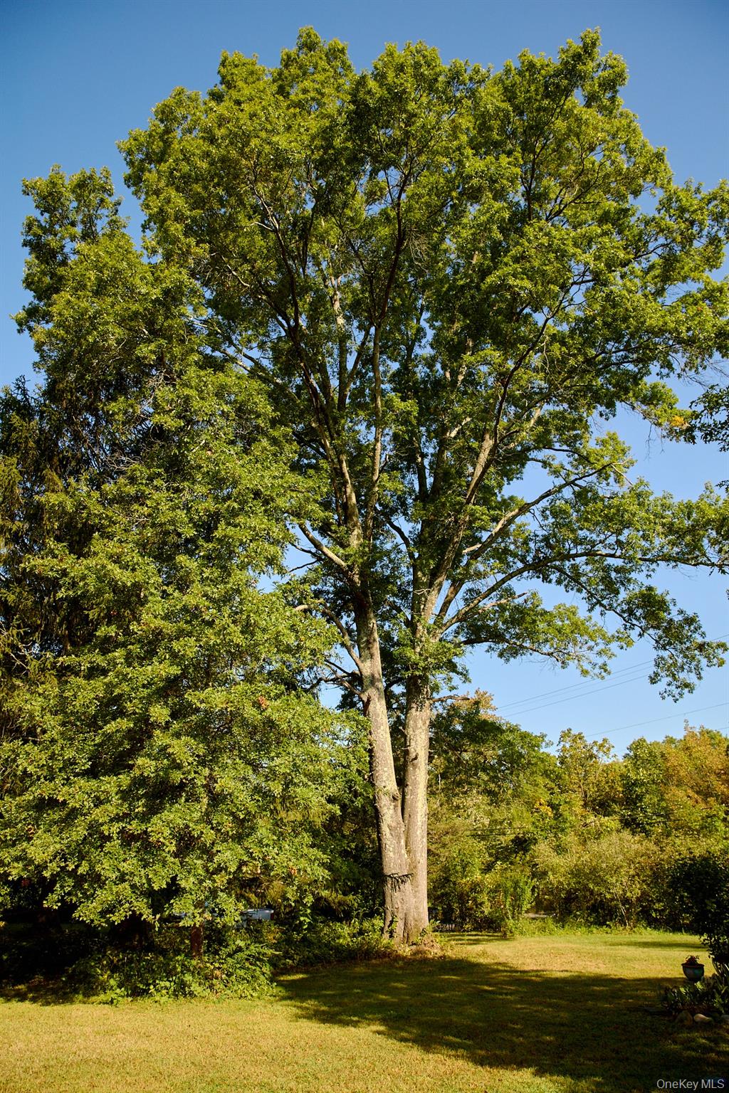 46 Shivertown, New Paltz, NY 12561