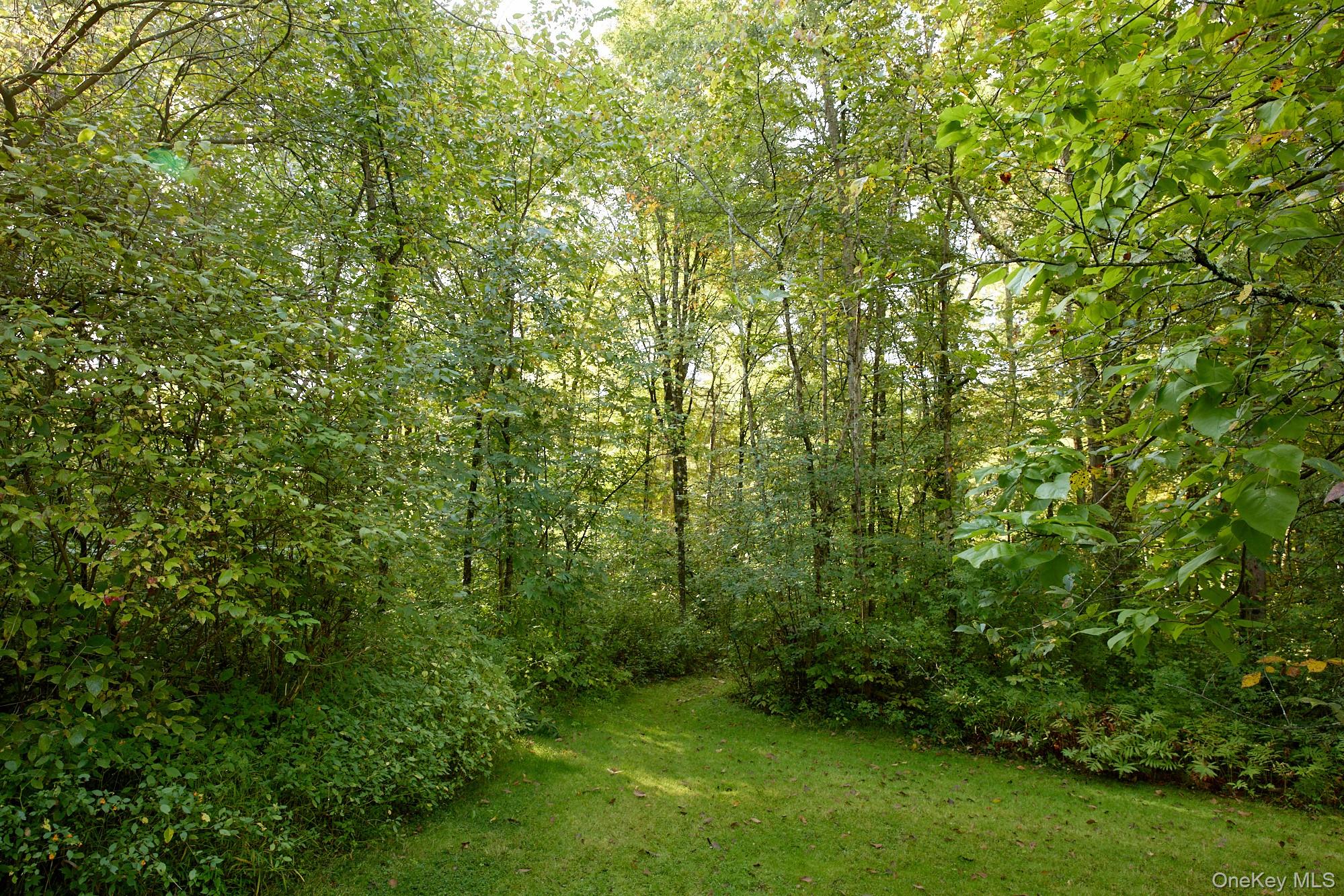 46 Shivertown, New Paltz, NY 12561