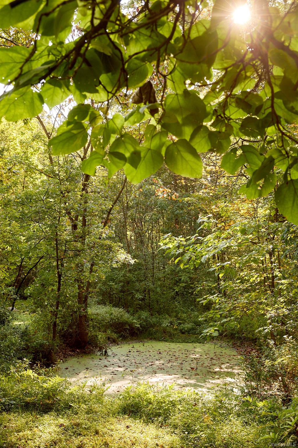 46 Shivertown, New Paltz, NY 12561