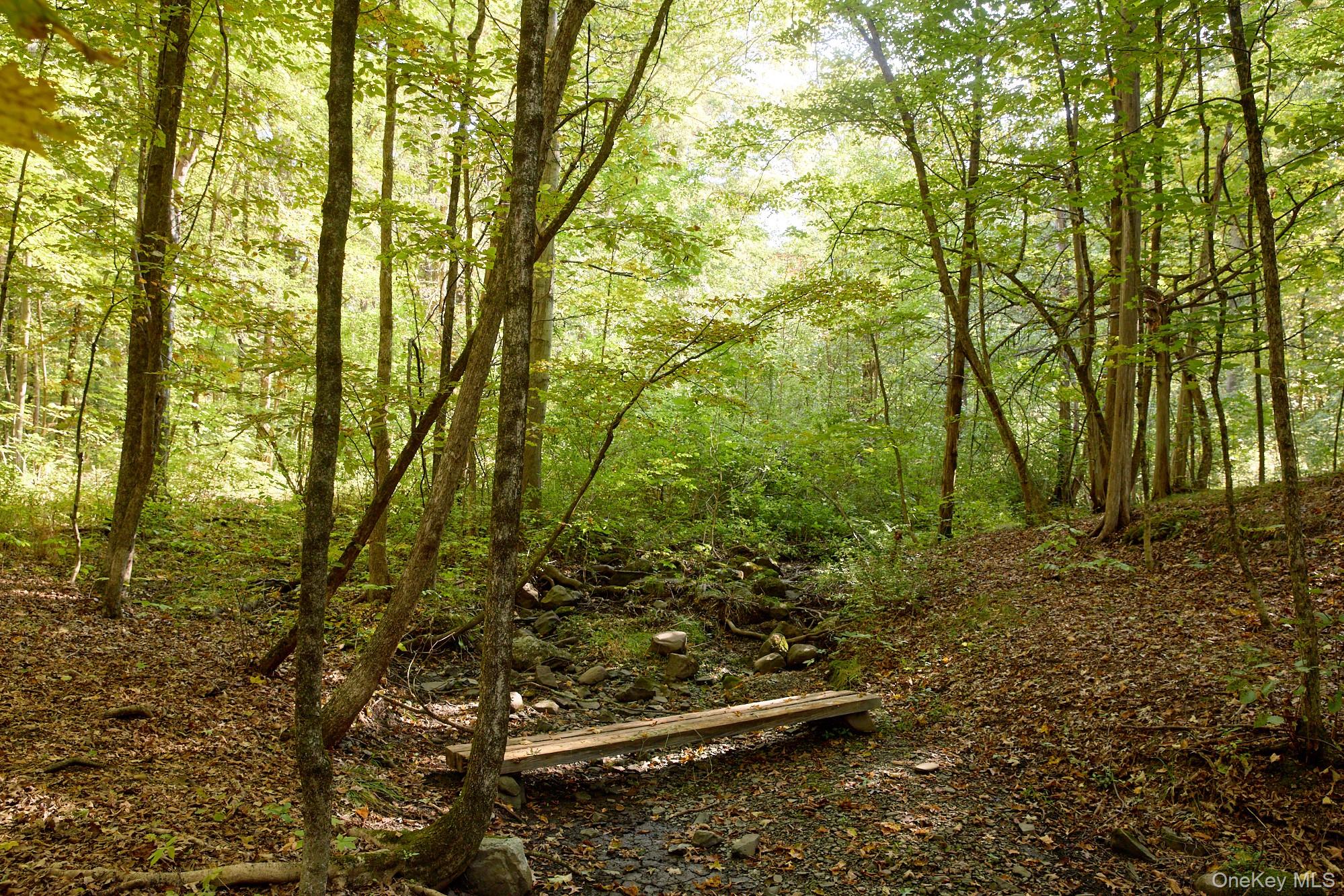 46 Shivertown, New Paltz, NY 12561