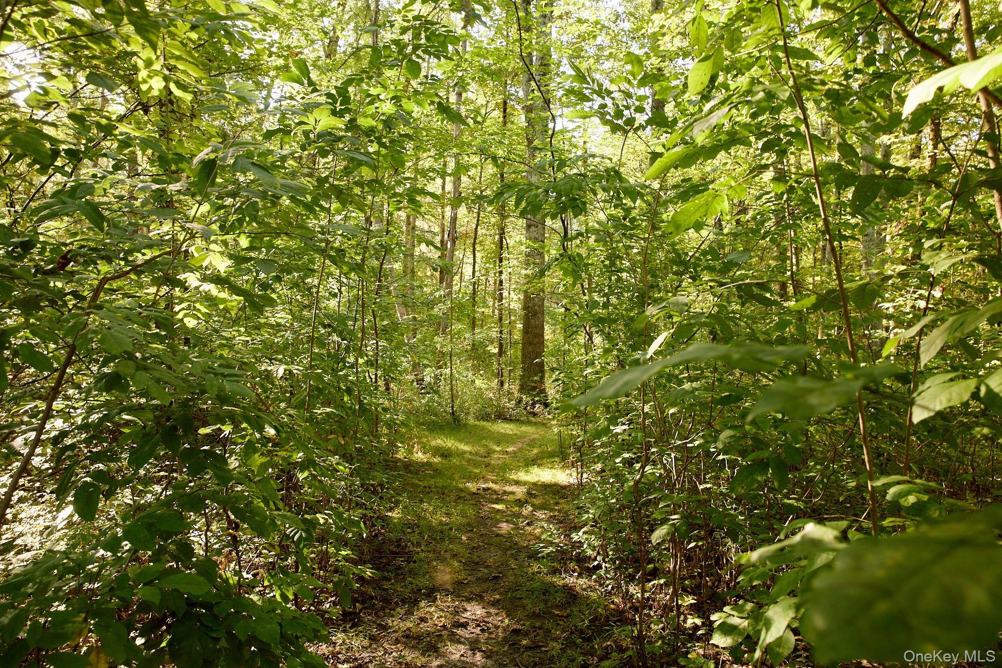 46 Shivertown, New Paltz, NY 12561