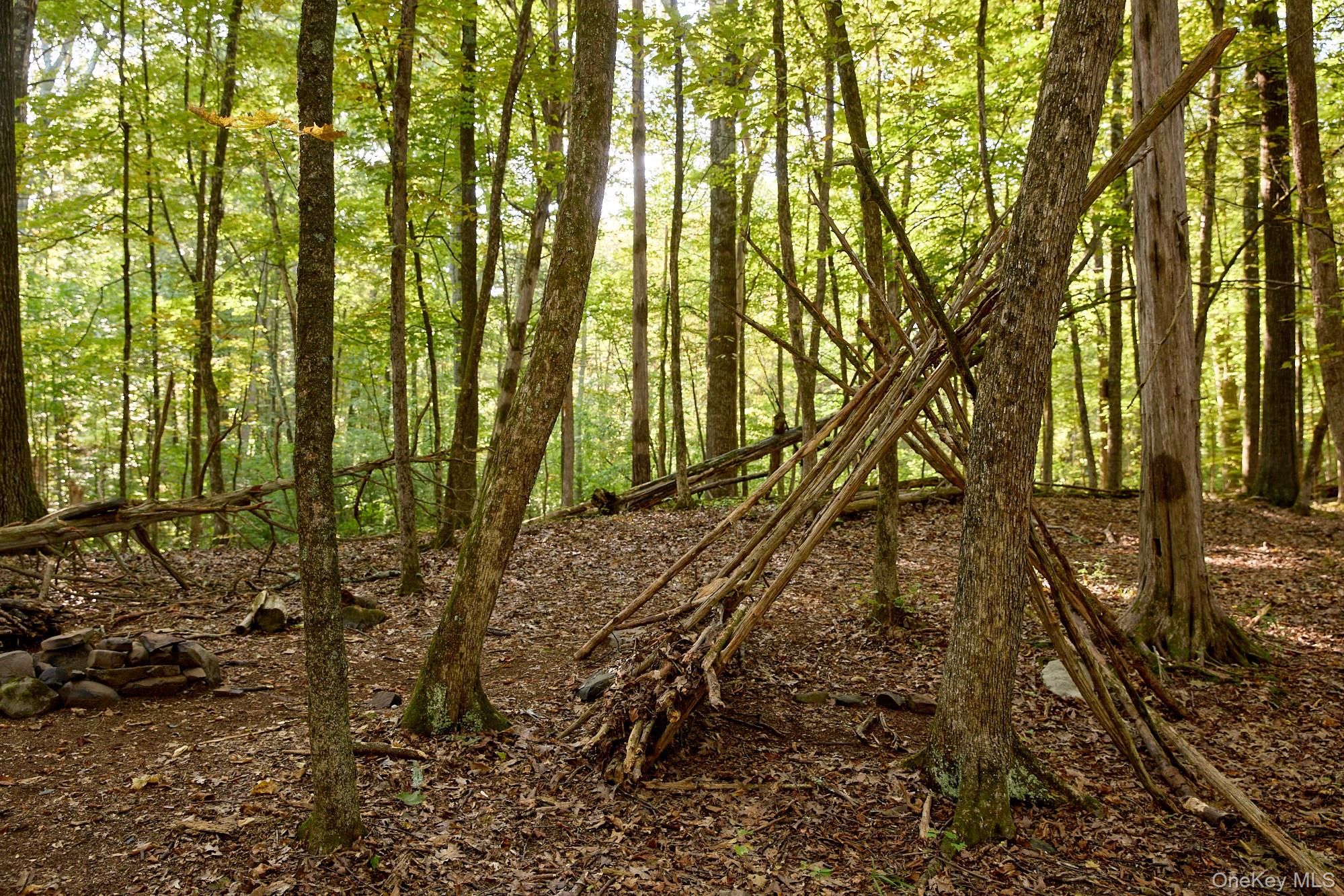 46 Shivertown, New Paltz, NY 12561