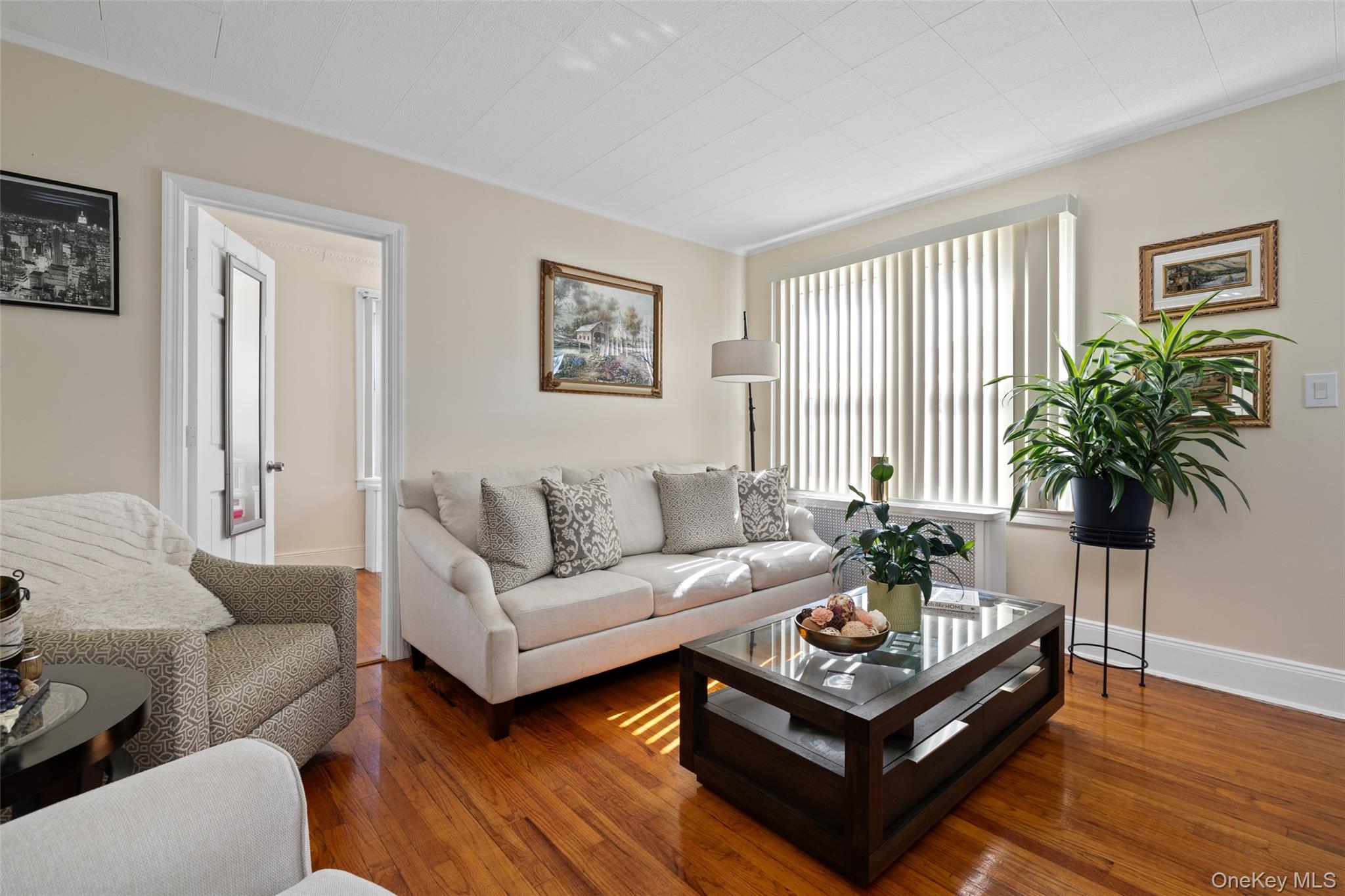 19 Teneyck Avenue, Valley Stream, NY 11580