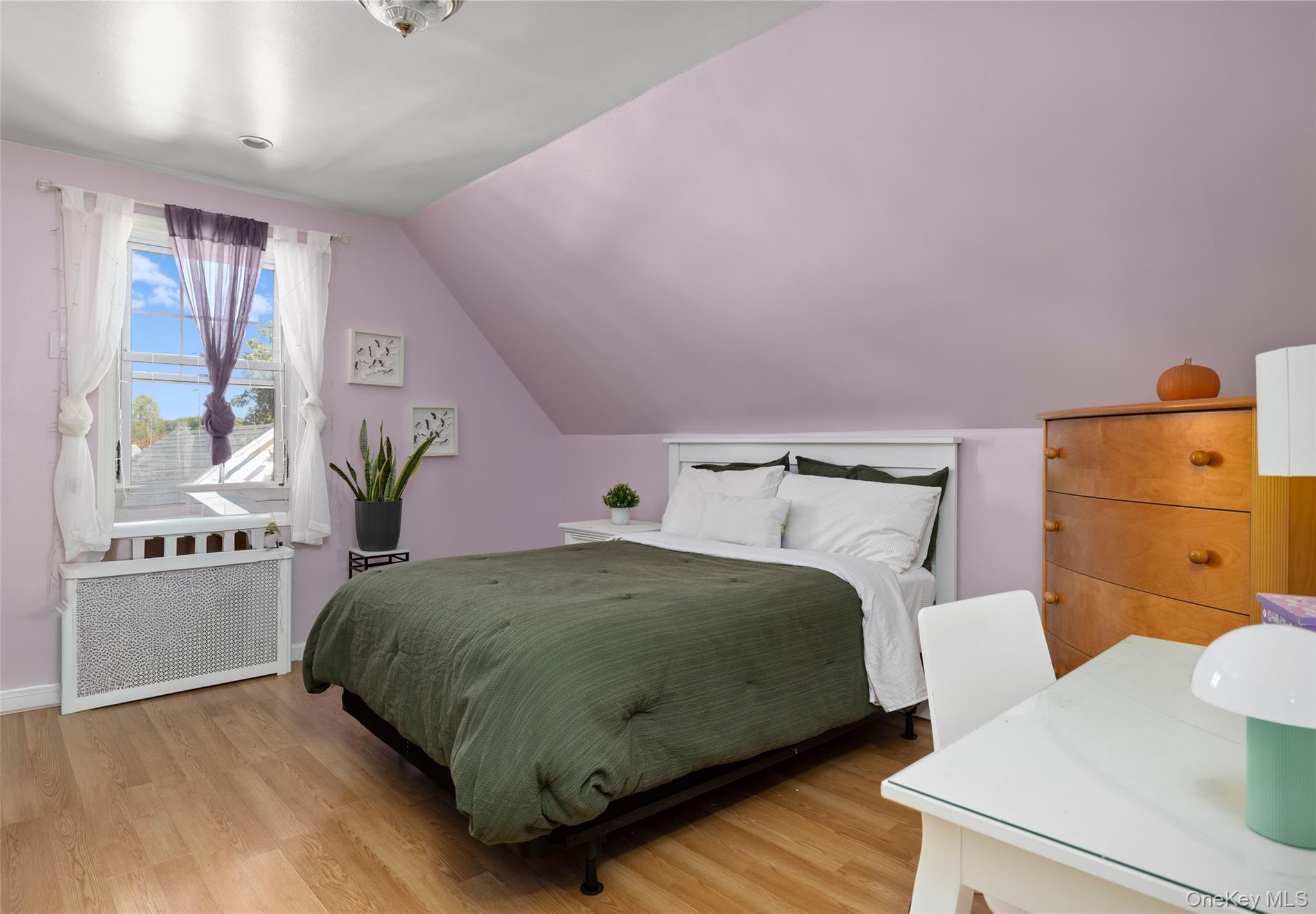 19 Teneyck Avenue, Valley Stream, NY 11580