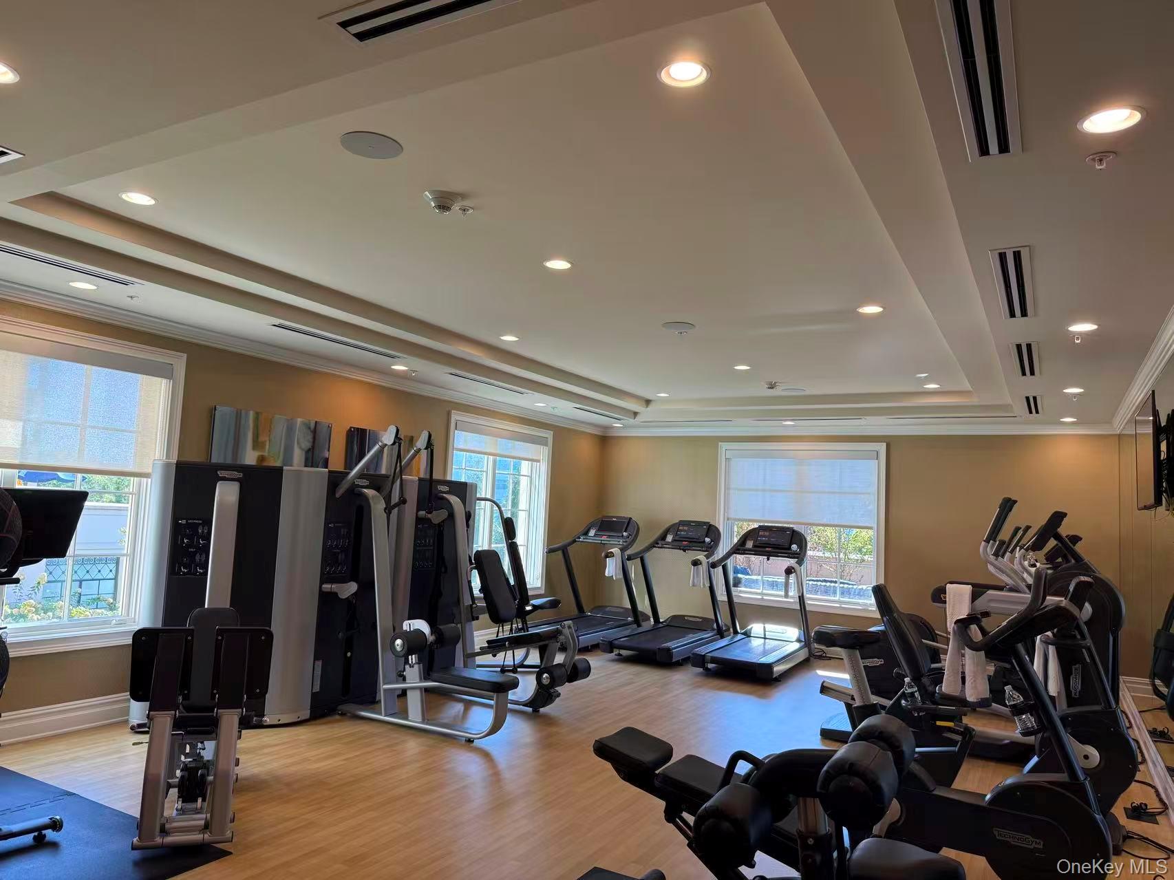 6000 Royal Court # 6303, North Hills, NY 11040