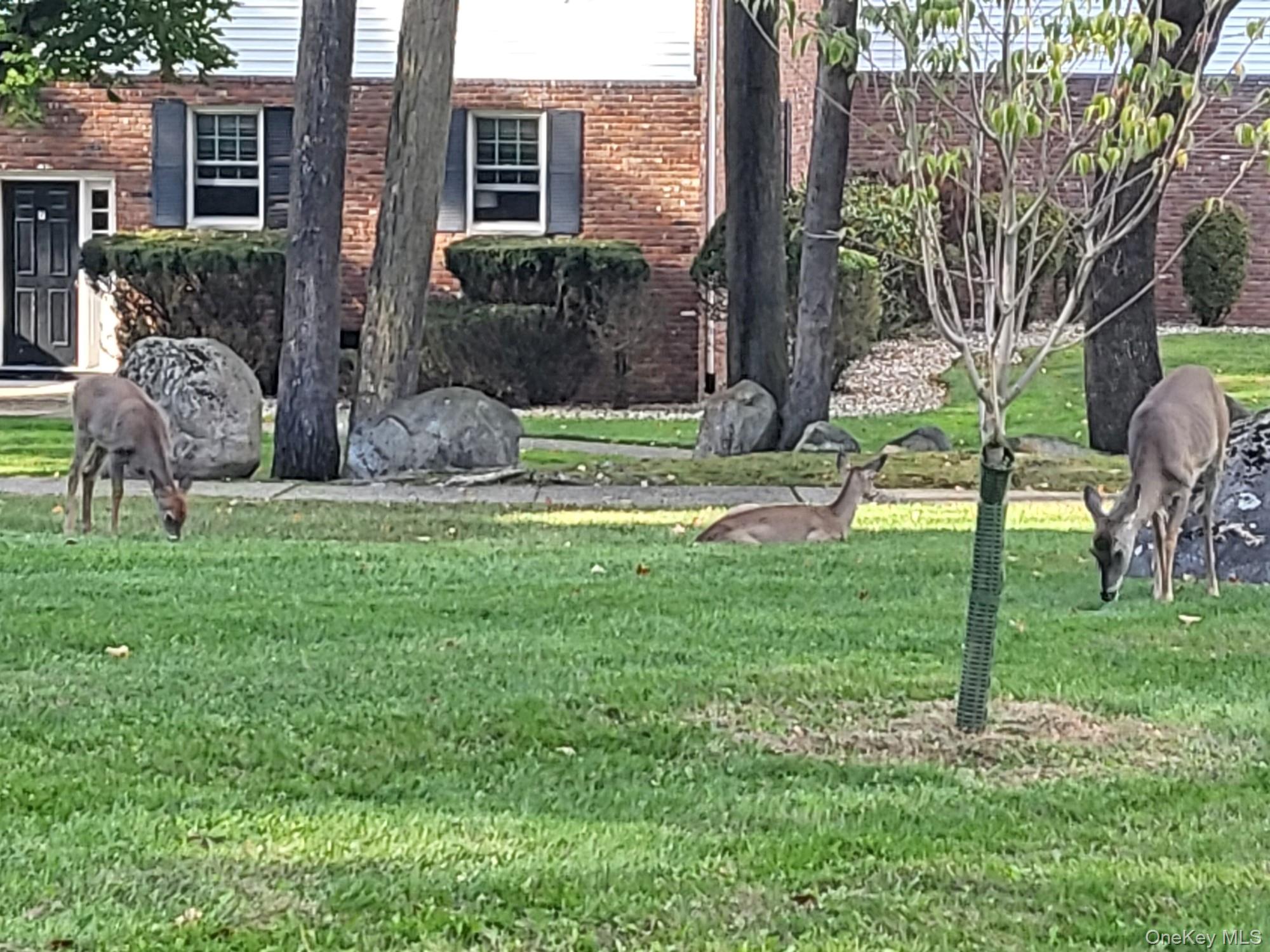 13 Essex Lane, Suffern, NY 10901