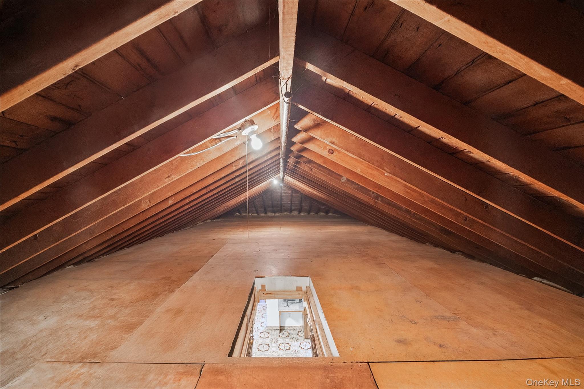 1815 Mahan Avenue, Bronx, NY 10461