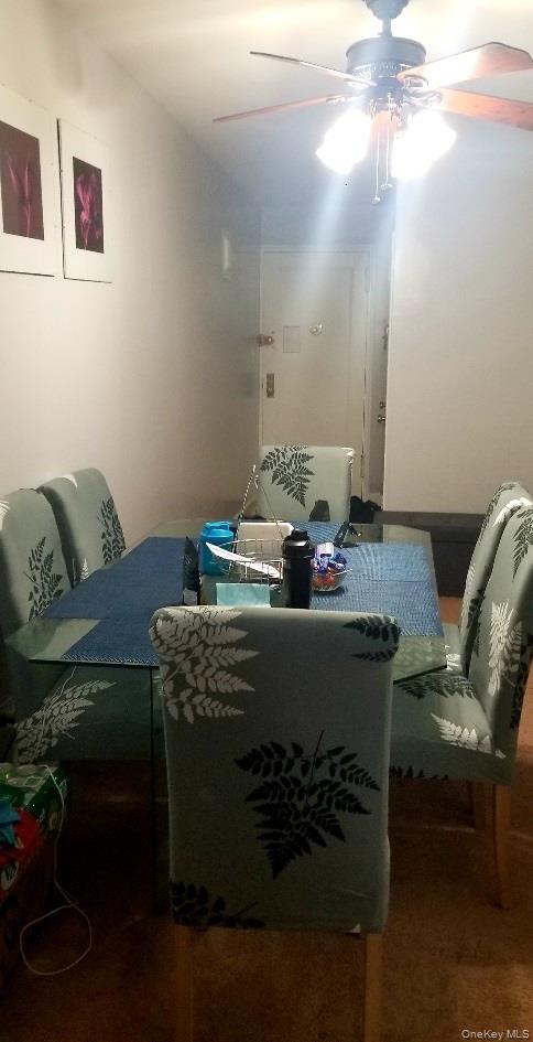 2140 Knapp Street # 4C, Brooklyn, NY 11229