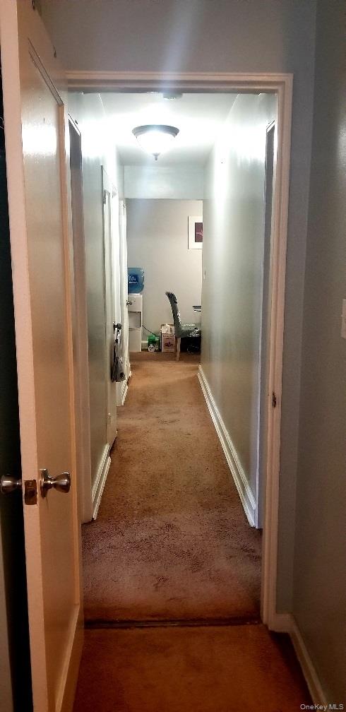 2140 Knapp Street # 4C, Brooklyn, NY 11229