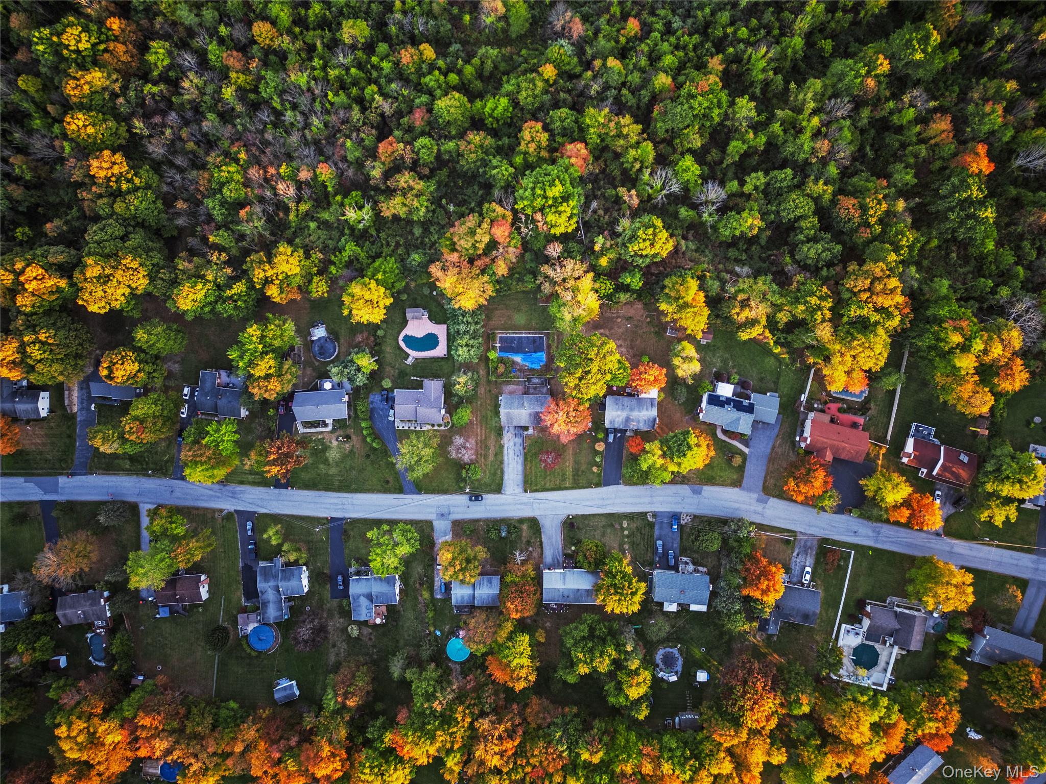 65 Mandalay Drive, Lagrangeville, NY 12603