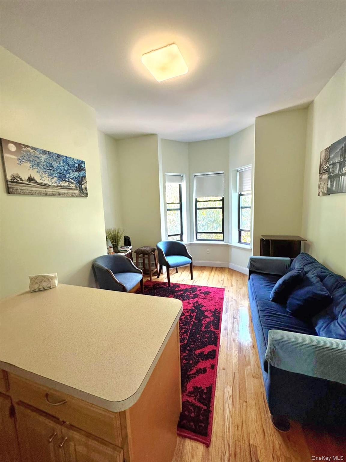 1231 Putnam Avenue, Brooklyn, NY 11221