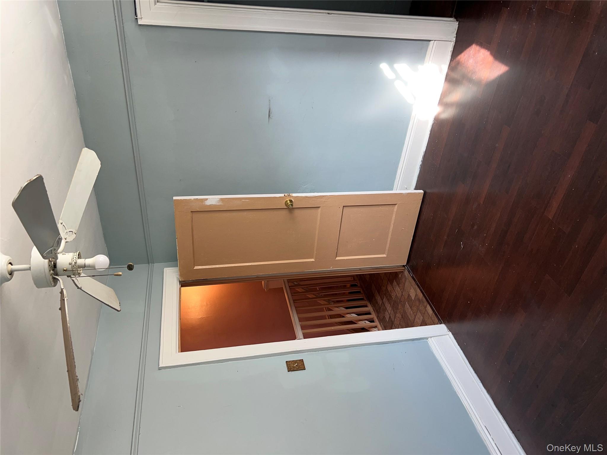 3317 Clarendon Road, Brooklyn, NY 11203