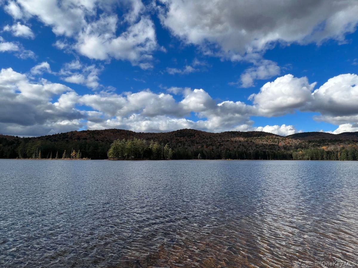 60 Leon Lane, Call Listing Agent, NY 12878