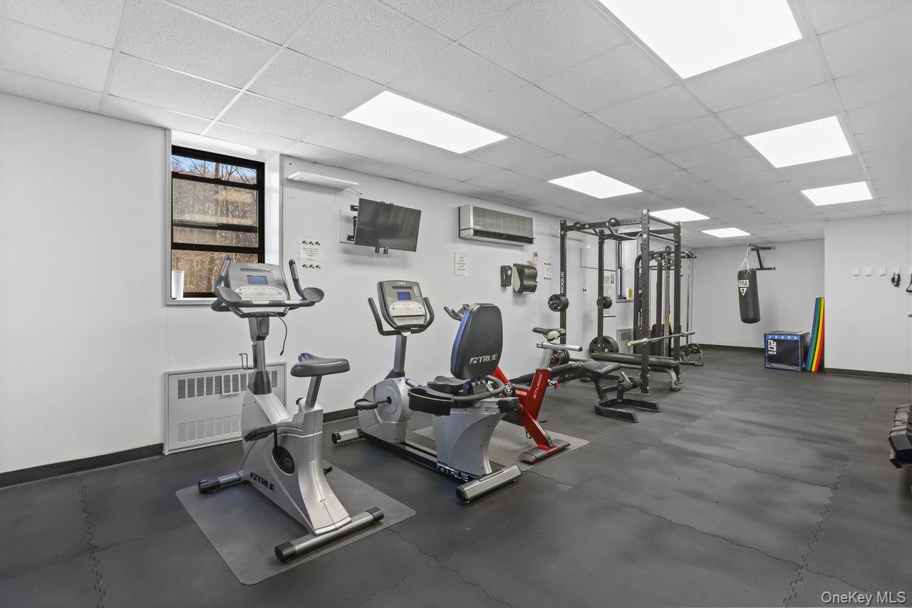 50 Barker Street # 238, Mount Kisco, NY 10549