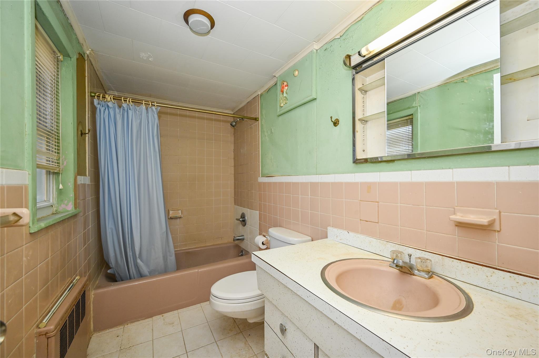 11 Lee Court, Great Neck, NY 11024