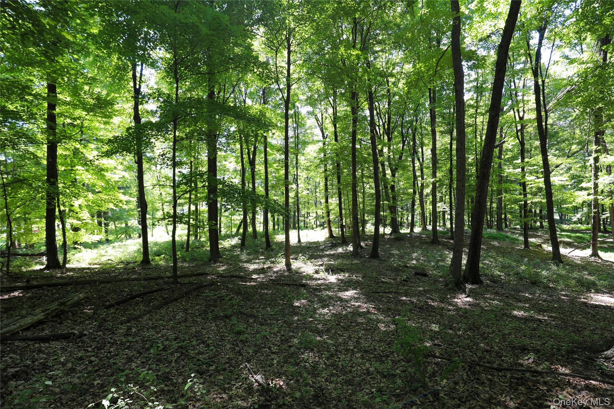 458 Lucas Avenue, Kingston, NY 12487