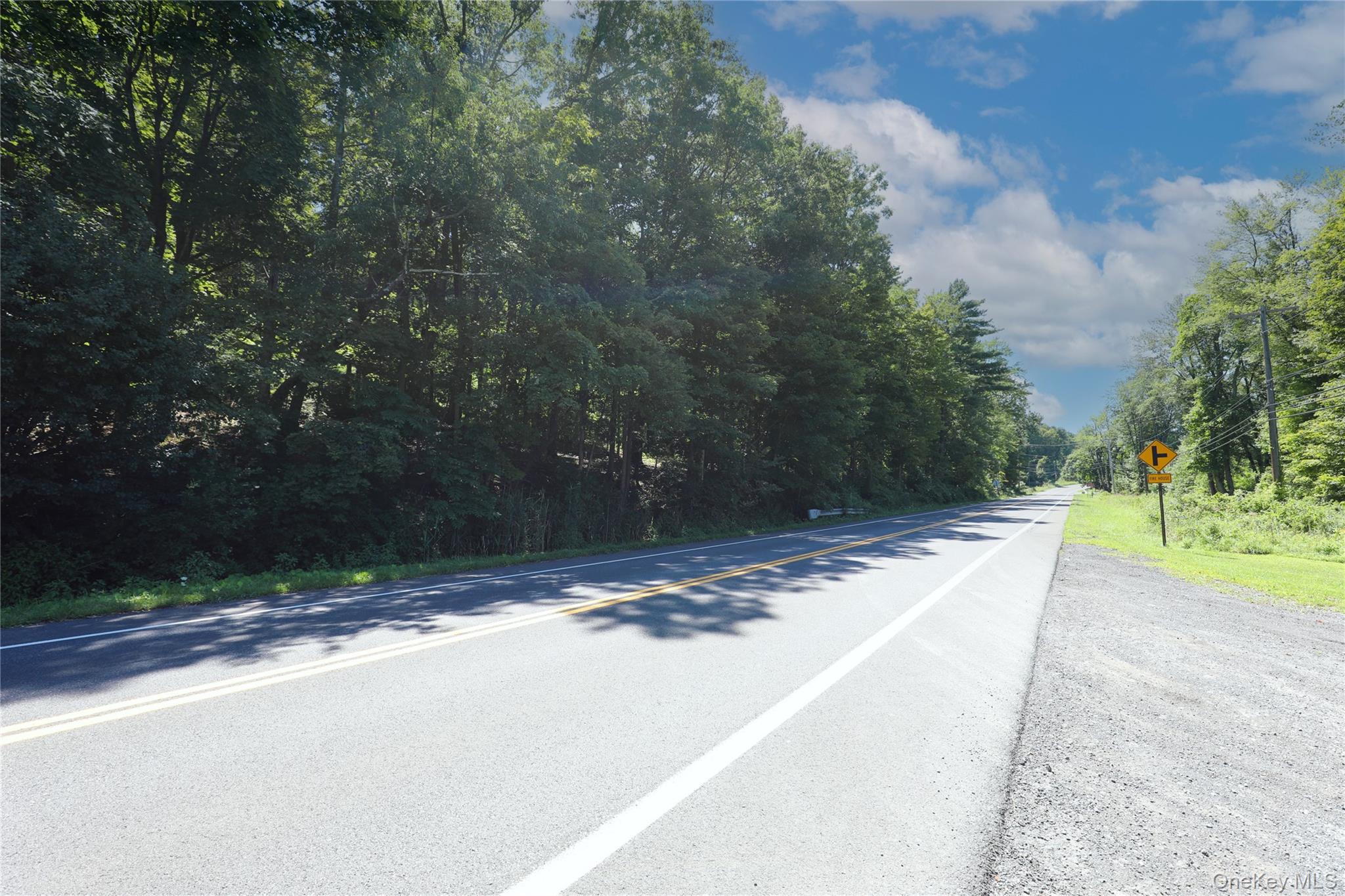 458 Lucas Avenue, Kingston, NY 12487