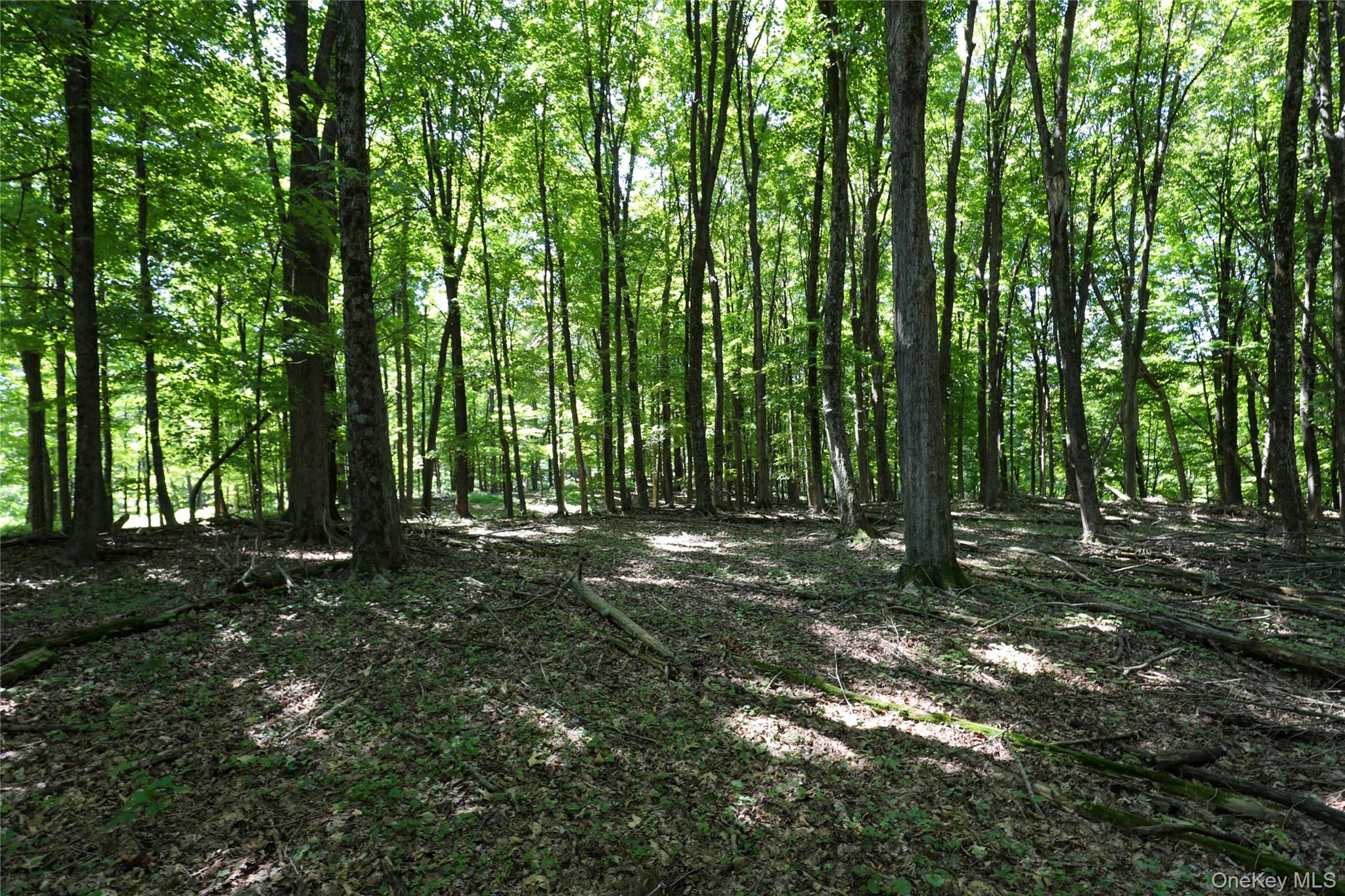 458 Lucas Avenue, Kingston, NY 12487