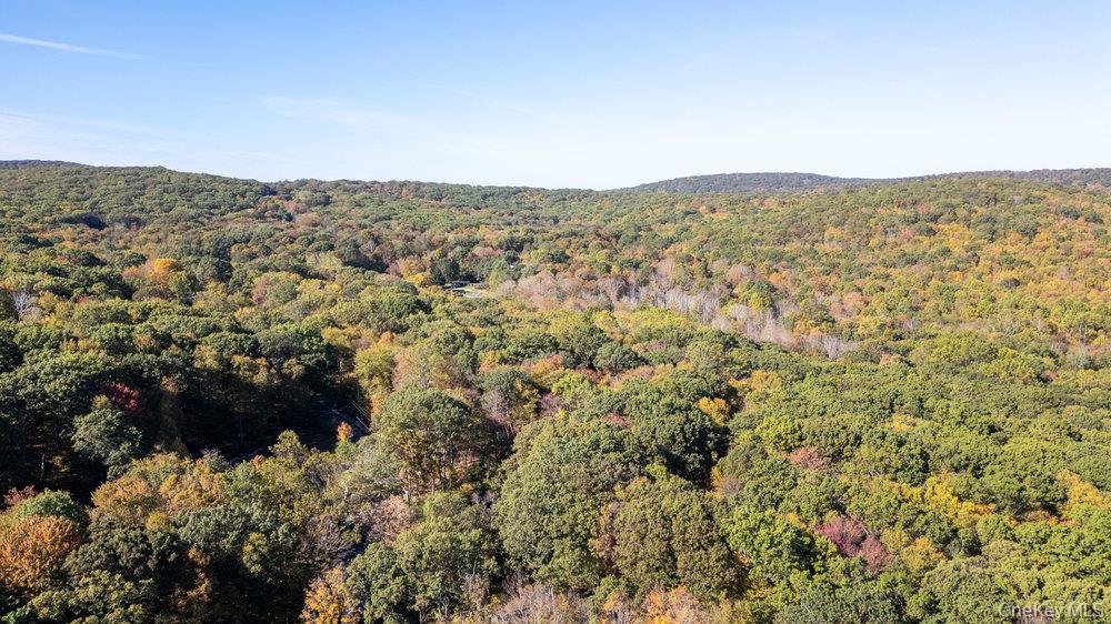 23 Lakeview Drive, Holmes, NY 12531