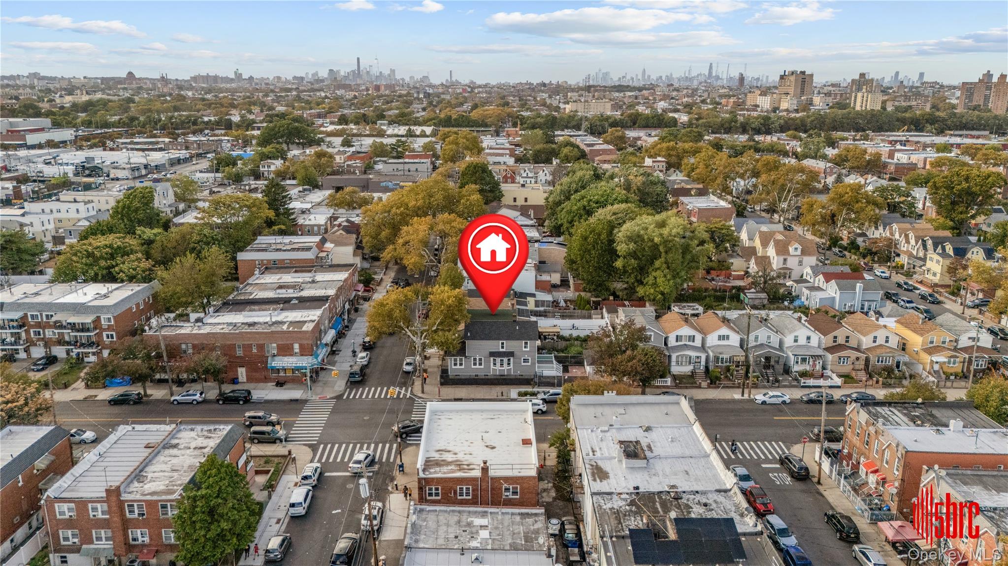 1017 E 92ND STREET, Brooklyn, NY 11236