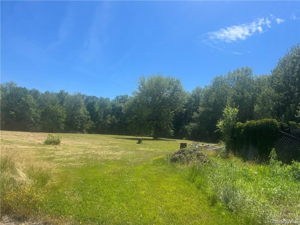 238 Lasher Road, Tivoli, NY 12583