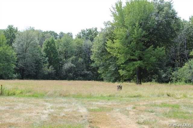 238 Lasher Road, Tivoli, NY 12583