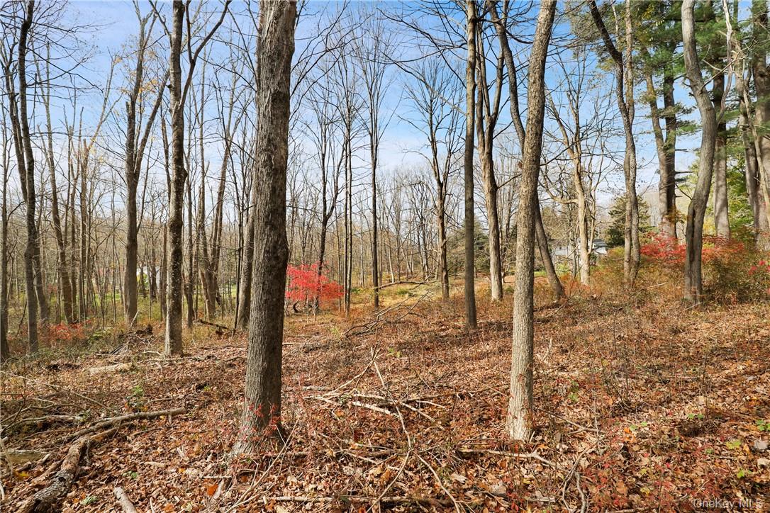 713 Old Post Road, Bedford, NY 10506