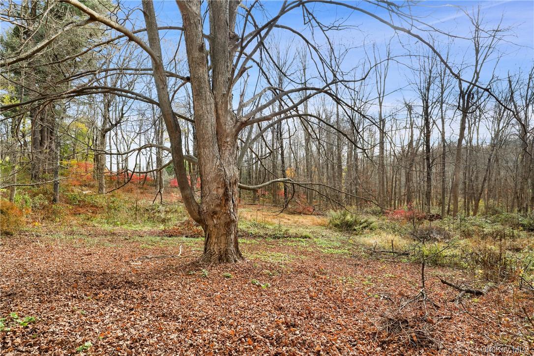 713 Old Post Road, Bedford, NY 10506