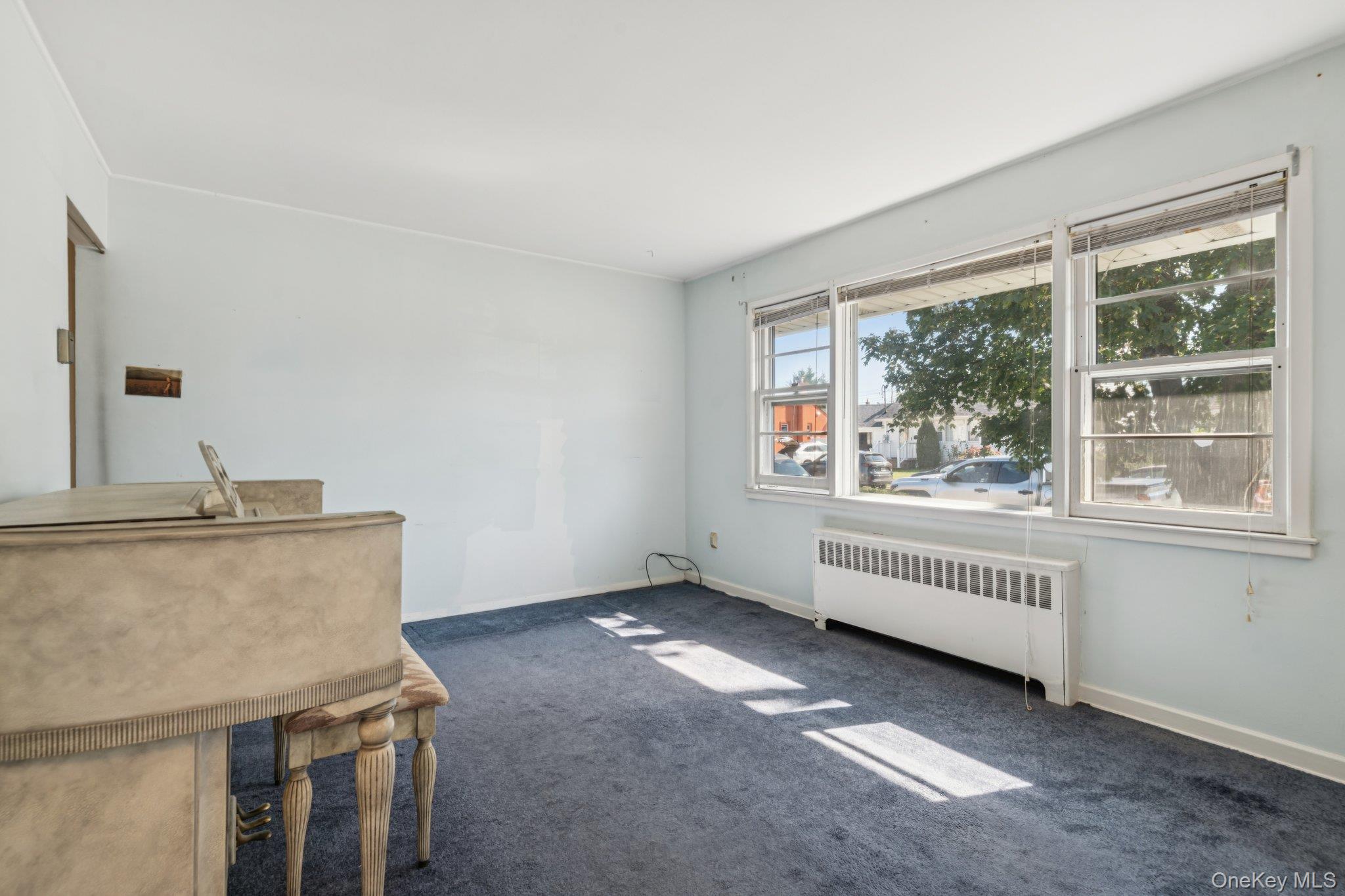 178 Princess Street, Hicksville, NY 11801