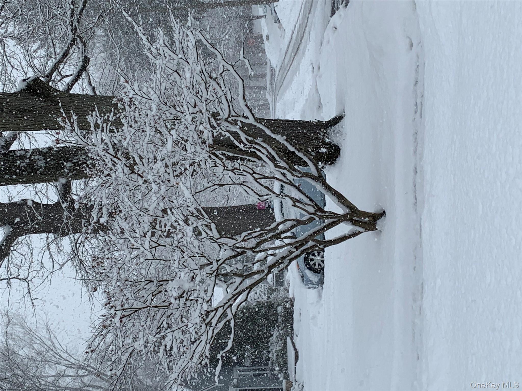 110 Topland Road, White Plains, NY 10605