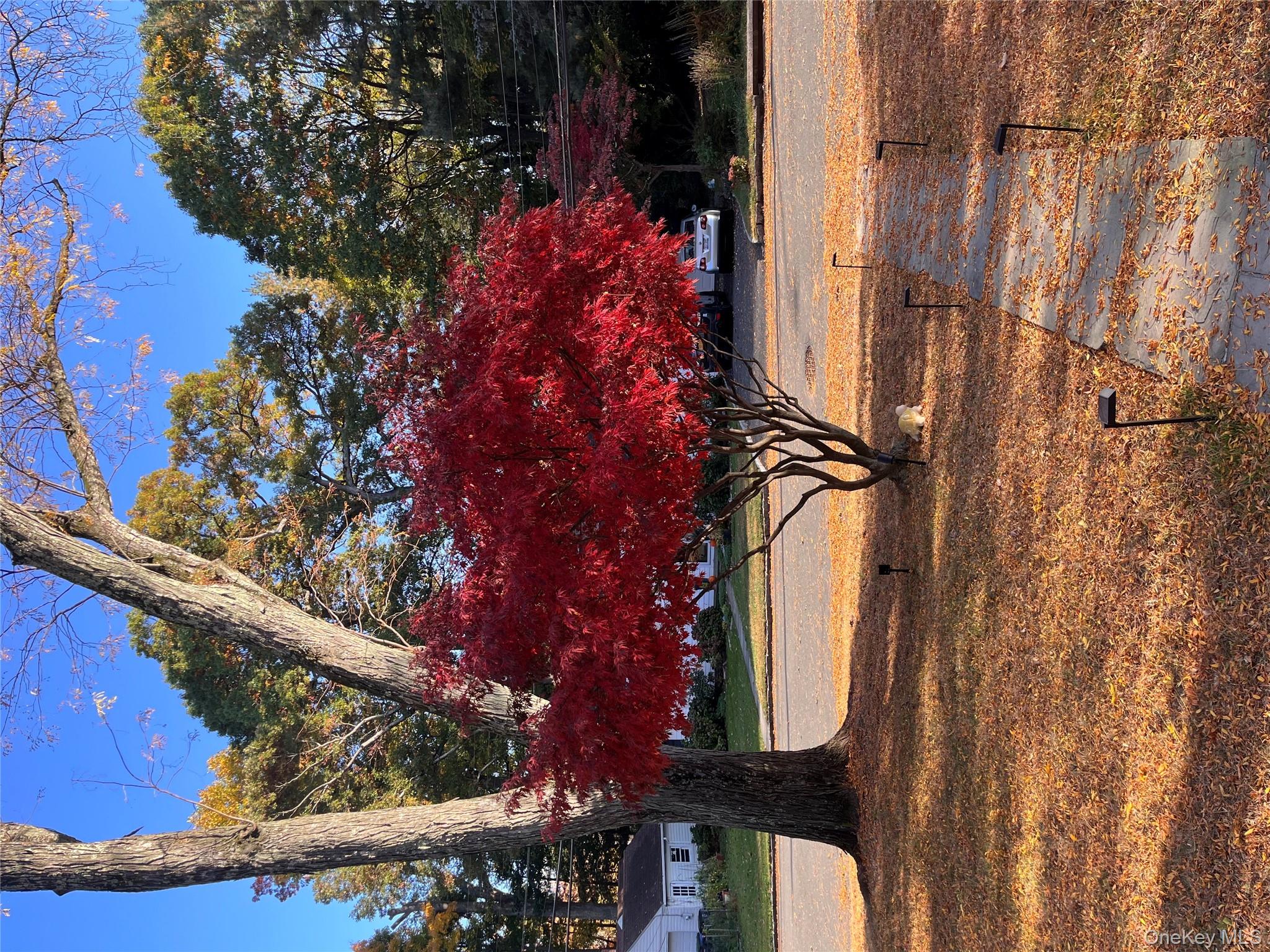 110 Topland Road, White Plains, NY 10605