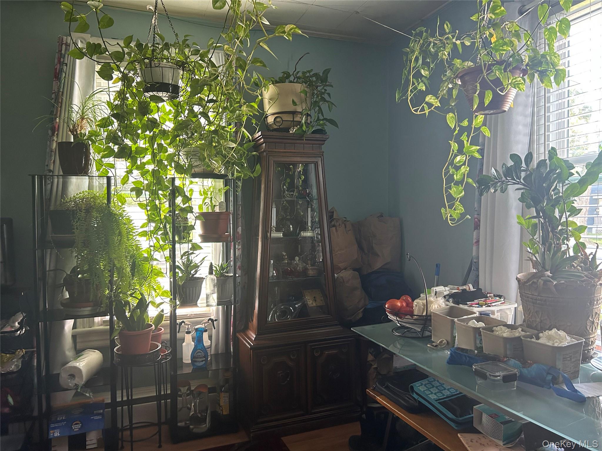 133-135 Downs Street, Kingston, NY 12401