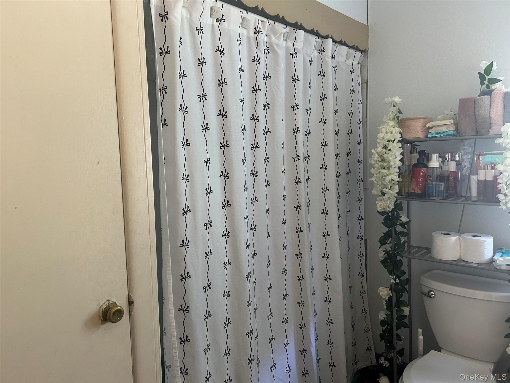 133-135 Downs Street, Kingston, NY 12401