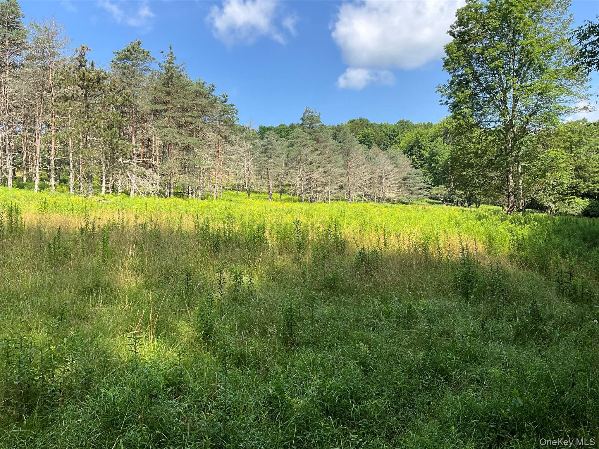 213 Button Rd, Other, NY 13438