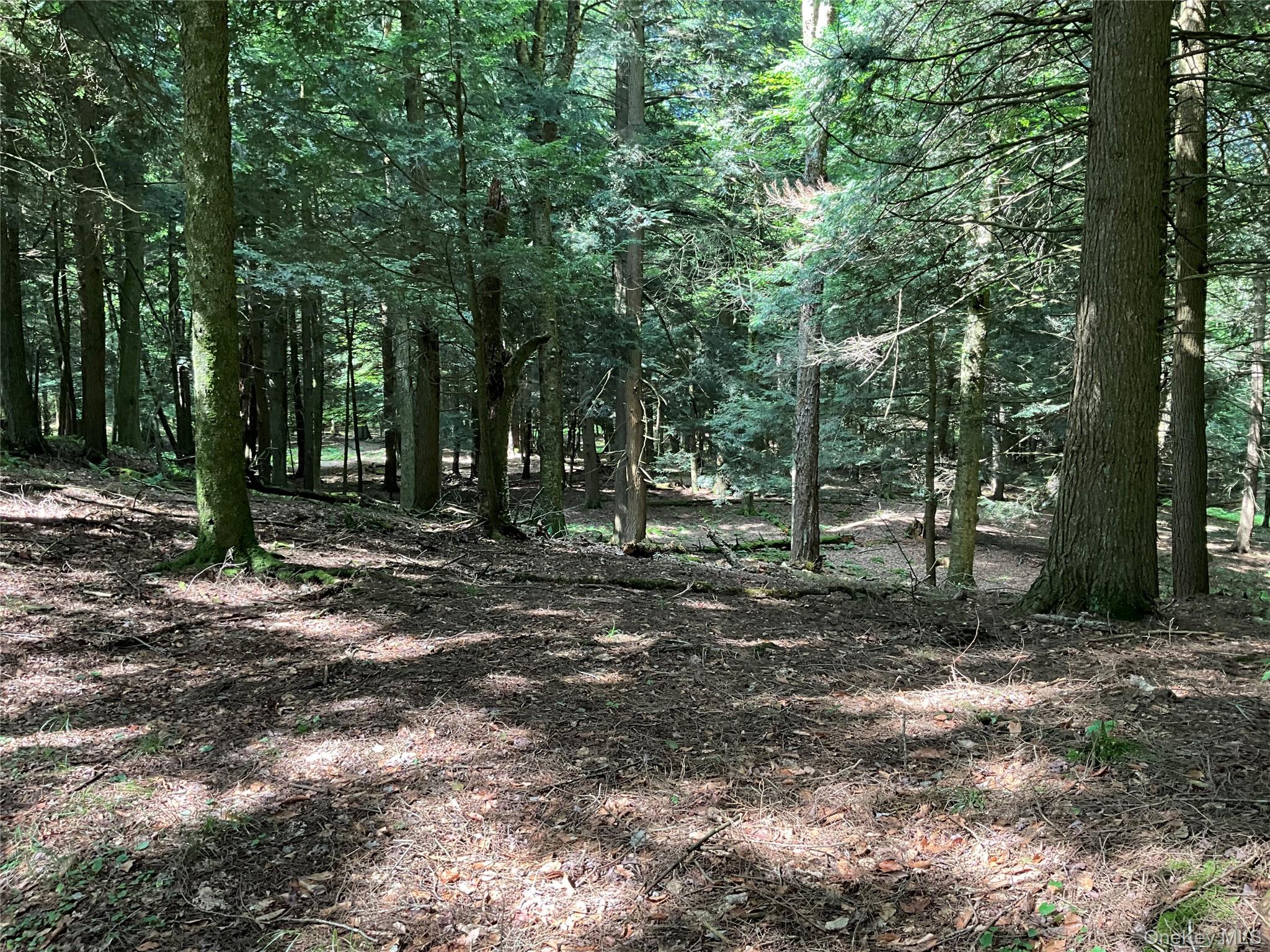 213 Button Rd, Other, NY 13438